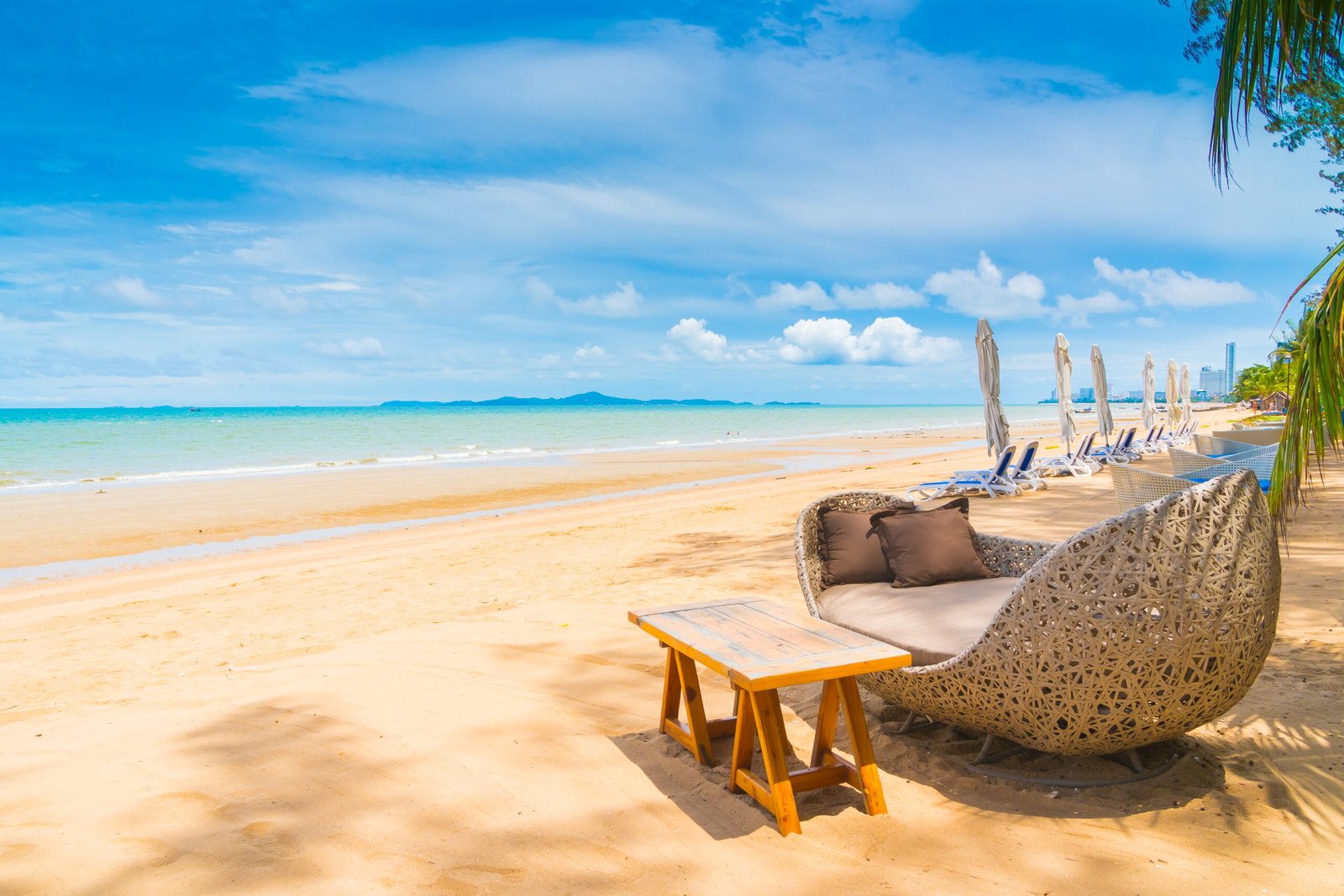 Affordable Goa Companion Options